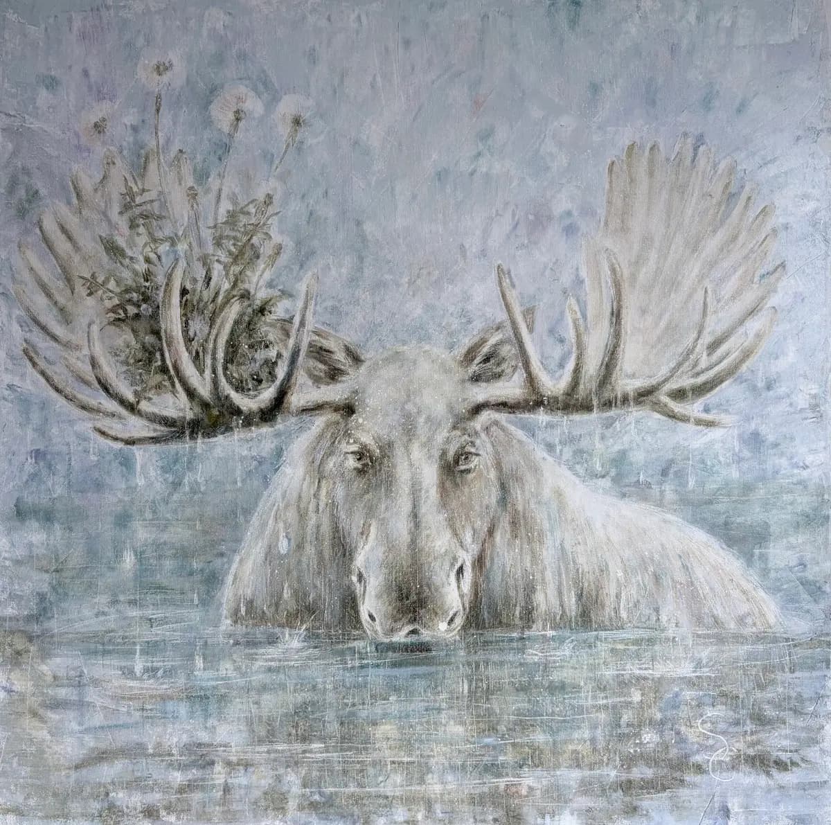 Vild juli | Vit älg och maskrosor