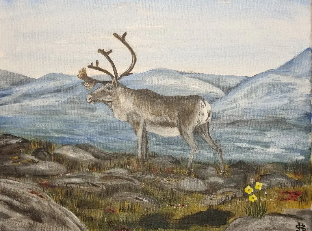 Ren i Fjällandskap - Akryl - Landscape - 41×33 cm av Håkan Siggemo (såld)